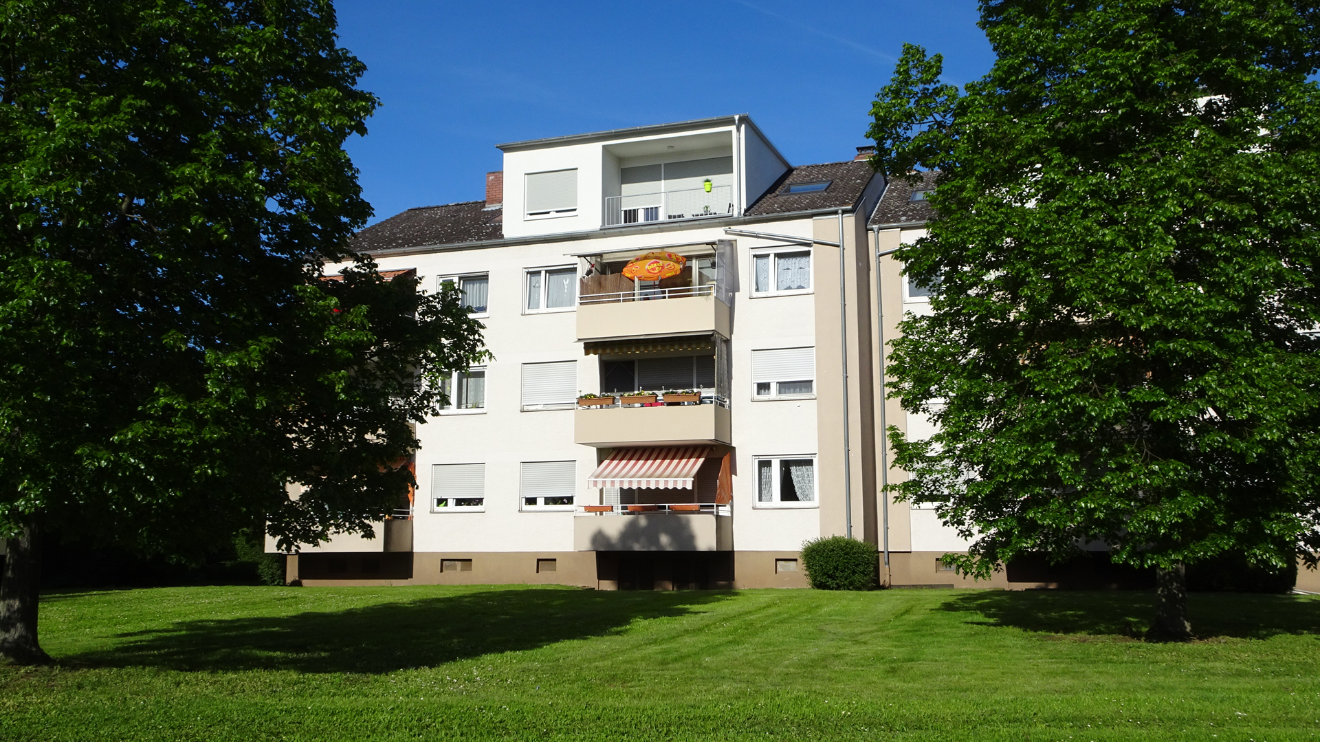 Haus